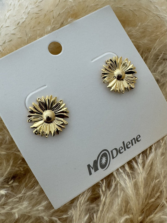 BOUCLES D'OREILLES MM589