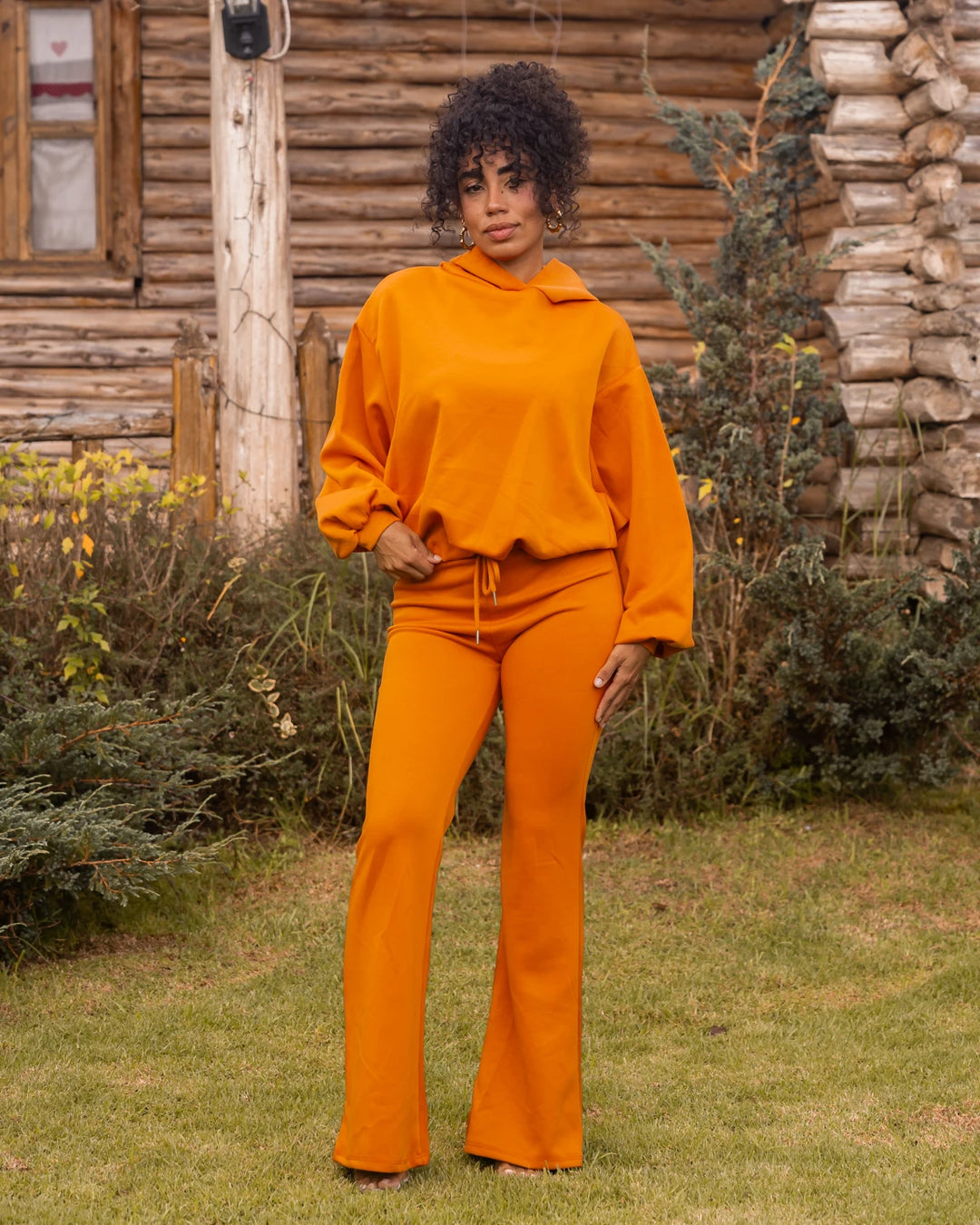 ENSEMBLE ELLIS